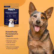 Moe's Healthy Pets Multi-Plus Multivitamin Soft Chews for Dogs