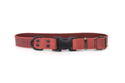 Euro-Dog Celtic Sport Quick-Release Leather Dog Collar