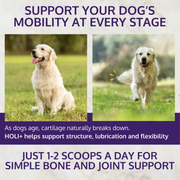 HOLI+ Collagen for Dogs - Pristine Pet Supply