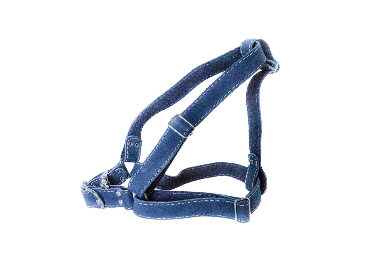 Euro-Dog Step In Leather Dog Harness