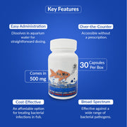 Fish Mox 500mg Capsules for Aquarium Fish – 30 Count – Water Care Support