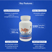 Fish Mox 500mg Capsules for Aquarium Fish – 100 Count – Water Care Support