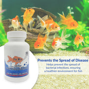 Fish Mox 500mg Capsules for Aquarium Fish – 100 Count – Water Care Support