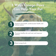 Dr. Ruth Roberts Omega Pawz Liquid Omega-3 Fish Oil for Dogs & Cats