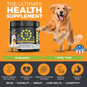 Googipet 10-in-1 Multivitamin Chews for Dogs – Chicken, 90 Count