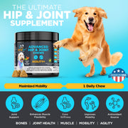 Googipet Agility+ Advanced Hip & Joint Chews for Dogs
