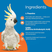 Parrot Calming Supplement Unruffledrx Bird Stress Relief Non Sedating 150 Servings