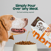 Pet Relish Indian Flavor Liquid Dog Food Topper