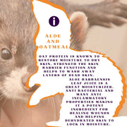 Piccardmeds4pets Ferret Aloe Oats Shampoo 12oz + HandsOn Grooming Gloves Small Combo