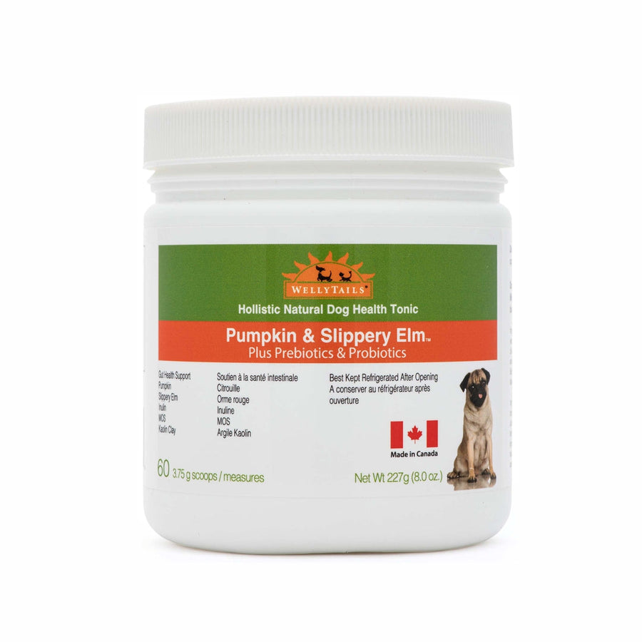 WellyTails Pumpkin & Slippery Elm with Probiotics & Prebiotics for Dogs