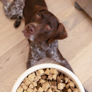 Beef Dog Food Topper - Pristine Pet Supply