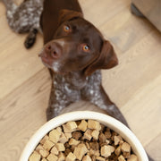 Chicken Dog Food Topper - Pristine Pet Supply