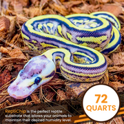 ReptiChip Breeder Blocks and Bundles