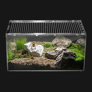 Reptile PC Terrarium Starter Kit Enclosure for Spiders, Geckos & Insects