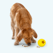 Rumbl - Pristine Pet Supply