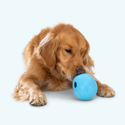 Rumbl - Pristine Pet Supply