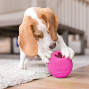 Rumbl - Pristine Pet Supply