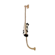 Wall-Mounted Cat Climbing Rope & Wood Platforms