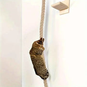 Wall-Mounted Cat Climbing Rope & Wood Platforms
