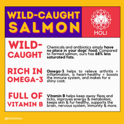 Wild Caught Salmon Dog Food Topper - Freeze Dried - Single Ingredient - Pristine Pet Supply