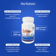 Fish Mox 250mg Capsules for Aquarium Fish – Water Care Support