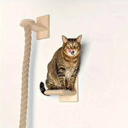 Wall-Mounted Cat Climbing Rope & Wood Platforms