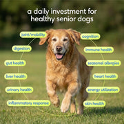 Senior Dog Multivitamin Powder 12-in-1 Joint Brain Digestion Immune 30 Scoops