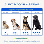 Senior Dog Multivitamin Powder 12-in-1 Joint Brain Digestion Immune 30 Scoops
