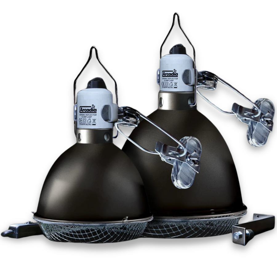 Arcadia Ceramic Reflector Clamp Lamp, Graphite