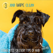 Waterless Shampoo + Conditioner