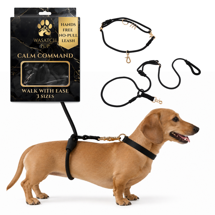 Wasatch Pup Calm Command © Hands Free, No-Pull Leash