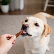 Smart Pup Peanut Butter & Chicken Chews