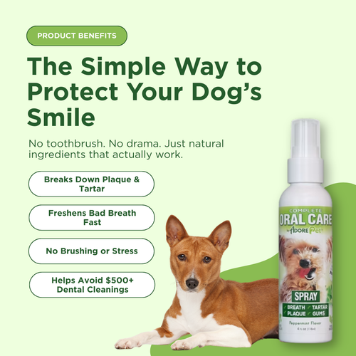 Oral Care Spray