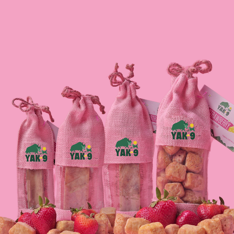 Yak9 Chews Strawberry Yak Cheese Chews for Dogs