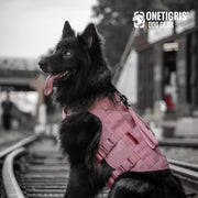 Tactical No-Pull Dog Harness – Mesh MOLLE Vest with Dual Handles