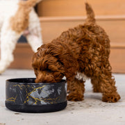 Limited Edition Black & Gold Marble Ceramic Dog Bowl