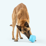 Toppl - Pristine Pet Supply