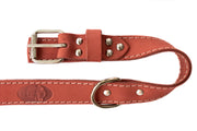 Euro-Dog Pro Line Hunting Leather Collar and Leash Set