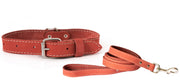 Euro-Dog Pro Line Hunting Leather Collar and Leash Set