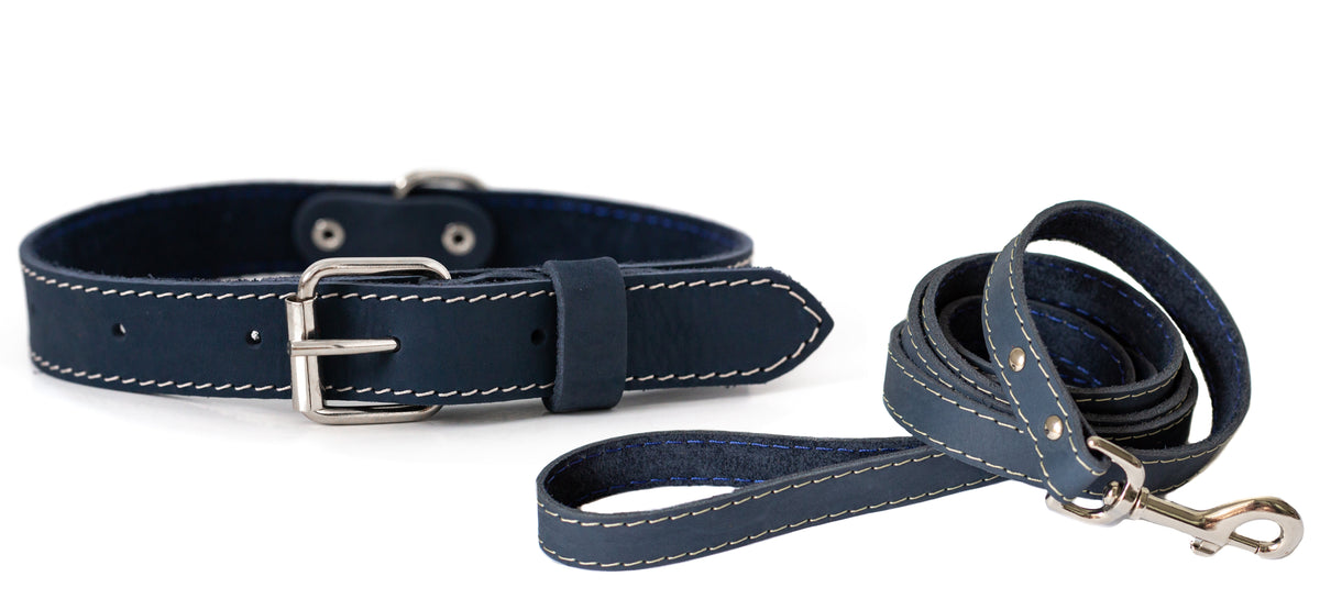 Euro-Dog Pro Line Hunting Leather Collar and Leash Set