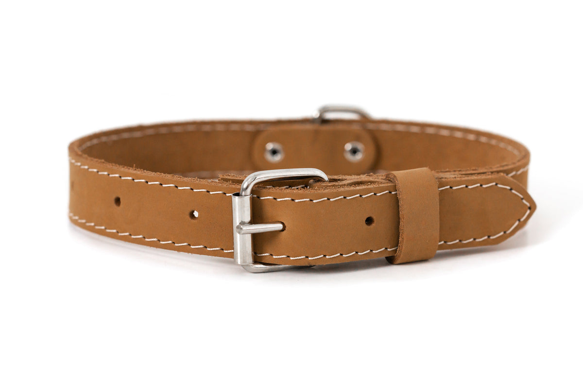 Euro-Dog Pro Line Leather Hunting Dog Collar
