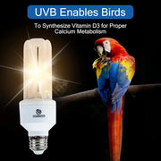 20W Full-Spectrum UVA UVB Bird Light Bulb – Compact Lamp