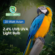 20W Full-Spectrum UVA UVB Bird Light Bulb – Compact Lamp