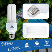 20W Full-Spectrum UVA UVB Bird Light Bulb – Compact Lamp