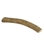 The Pet Gourmet Medium Whole Elk Antler Dog Chew