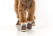 The Stassi- Dog Snow Boots