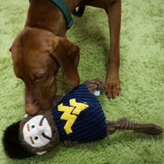 NCAA West Virginia University, Mountaineer Knottie® Plush Dog Toy