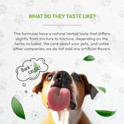 Secrets Of The Tribe Wolf's Respiratory Herbal Blend for Dogs