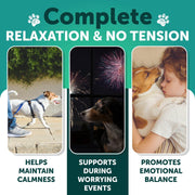 Artullano Dog Calming Soft Chews with Turmeric & Valerian – 120 Count