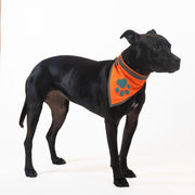 Reflective Dog Bandana – Hi-Vis Orange, Small